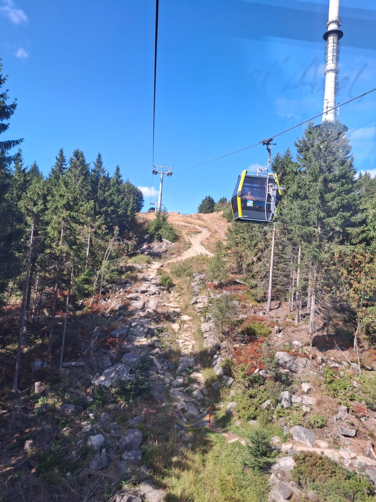 Mit der Seilbahn geht es hoch auf den Ochsenkopf