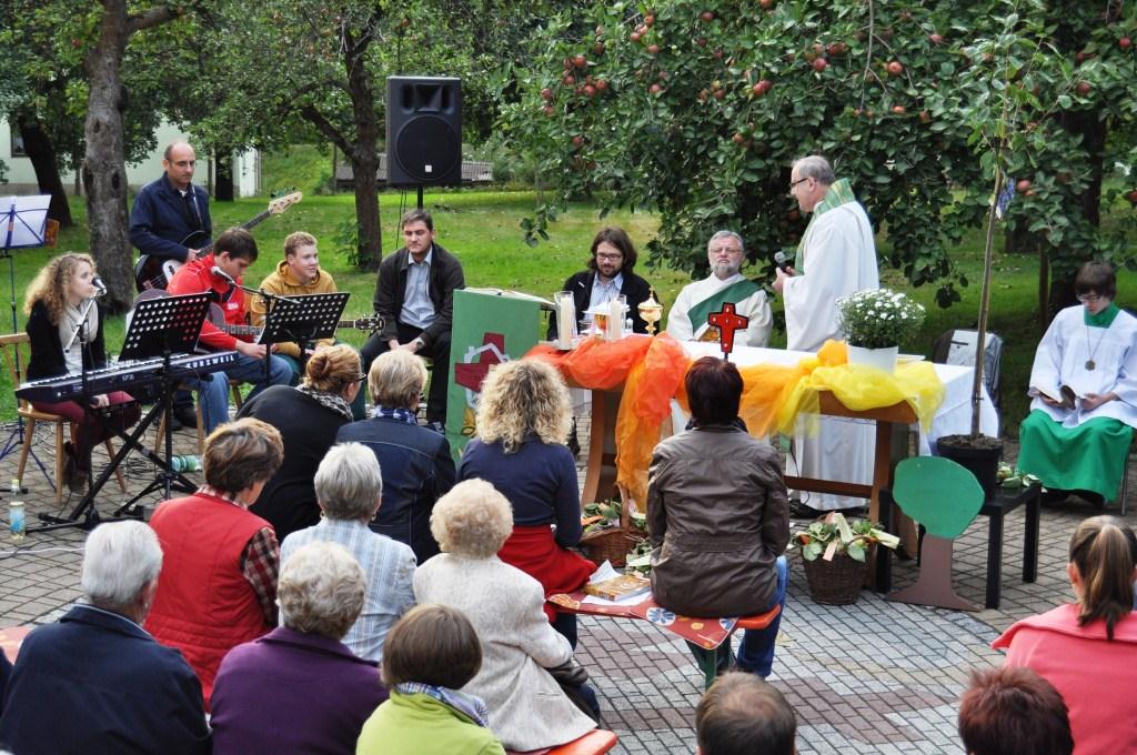 Firmlinge pflanzen Baum 2012